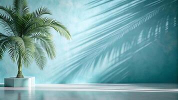 Tropical Elegance, A Palm Tree in a Minimalist Aqua Studio Setting photo