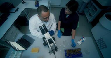 A man and a woman in lab coats are working in a medical laboratory, conducting a blood test and using a microscope. They are talking sitting at the table - working photo
