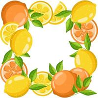 Citrus Frame with Oranges and Lemons vector