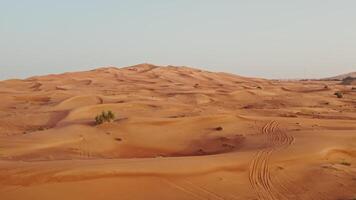 Red desert dunes with sparse vegetation among the sand with traces of cars driving off-road. Drone photo