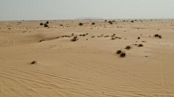 The drone flies over a lifeless desert with sparse green vegetation among the sand photo