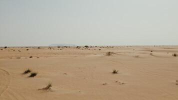 The drone flies over a desert with sparse green vegetation and debris lying among the sand photo