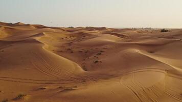 A bird's-eye view from a drone of sand dunes with traces of cars engaged in off-road driving, and sparse vegetation among the sand - vegetation photo