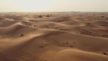 A bird's-eye view from a drone of sand dunes with traces of cars engaged in off-road driving, and sparse vegetation among the sand photo