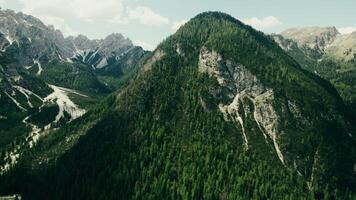Rocky mountain peak, overgrown with dense spruce forest, bird's-eye view from a drone, high-altitude valley photo