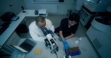 A man and a woman in lab coats are working in a medical laboratory, conducting a blood test and using a microscope. They are talking sitting at the table - medical photo