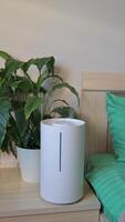 air humidifier functions beside the bed improving moisture levels for easier breathing and skin hydration. concept by home comfort, health tech, wellness products. video