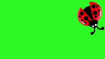 ladybug flying with flapping wings on bright green background. Loop animation perfect for children content, education video