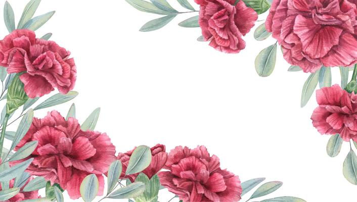 Watercolor red carnations and eucalyptus branches rectangle border isolated background. Floral illustration with copy space for text. For wedding invitation, rustic floral design, romantic branding