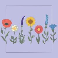 Wildflowers. Inspiration of nature vector