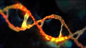 A close-up of the structure of the golden helix of DNA, showing its twisted ladder-like structure in looping motion. video