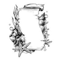 Papyrus rolled scroll with jagged edges, space for text with corals, shells, starfish, sea sponges, algae. Graphic illustration, hand drawn with black ink. Template, vertical frame, board EPS vector