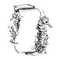 Papyrus rolled scroll with jagged edges, space for text with corals, seahorses and bubbles. Graphic illustration hand drawn with black ink. Template, vertical frame, board EPS vector