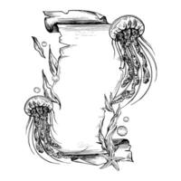 Papyrus rolled scroll with jagged edges, space for text with jellyfish, seaweed, starfish and bubbles. Graphic illustration hand drawn with black ink. Template, vertical frame, board EPS vector