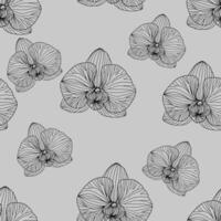Seamless pattern of orchid flowers drawn in a delicate line art style. vector