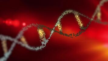 A close-up of the DNA double helix structure against a red background, showing its twisted ladder-like structure. video