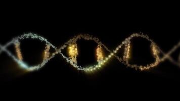 A close-up of the structure of the grey-gold DNA helix, showing its twisted ladder-like structure in looping motion. video