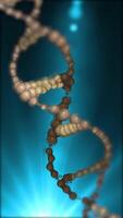 A close-up of the DNA double helix structure against a blue background, showing its twisted ladder-like structure. video