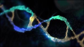 A close-up of the structure of the blue and gold DNA helix, showing its twisted ladder-like structure in looping motion. video