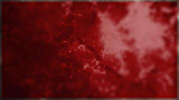 Studying bacteria through a microscope. Abstract animation of red bacteria for any medical, technological and similar projects. video