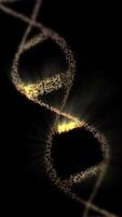 A close-up of the DNA double helix structure against a black background, showing its twisted ladder-like structure. video