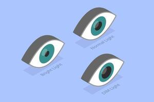 3D Isometric Flat Illustration of Pupillary Light Reflex, PLR, Three Different Variations vector