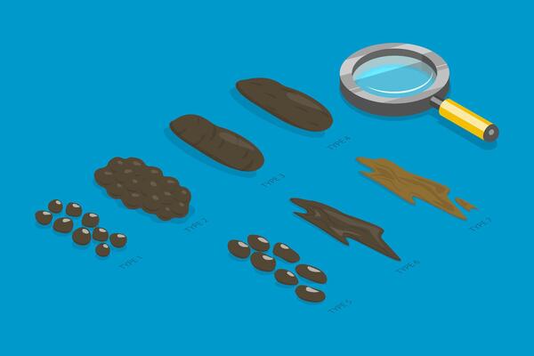 3D Isometric Flat Illustration of Bristol Stool Chart, Faeces Type Images and Description