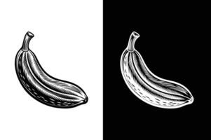 A beautiful design icon of banana fruit illustration design vector