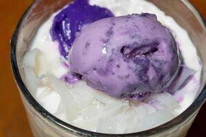 ube macapuno dessert photo