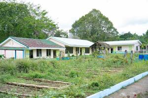 public elementary school buildings with a garden photo