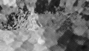 Grunge dotted halftone pattern effect texture. Organic background. vector
