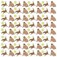 walrus with lime as a pattern background vector