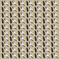 eagles, pelicans and wheat as a pattern background vector