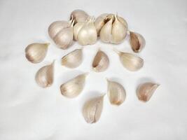 Close-up Garlic with a white background photo