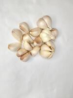 Garlic on a white background photo