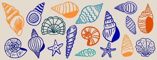 Seashell hand drawn colorful set. Summer beach shells collection. Vectotr illustration vector
