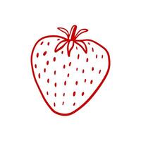 Hand-drawn strawberry design. Red berry sketch . Design doodle element vector