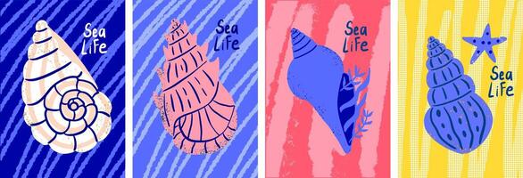 Set of postcards or posters with beach tropical shells. Hand drawn summer shells. Print art templates. vector