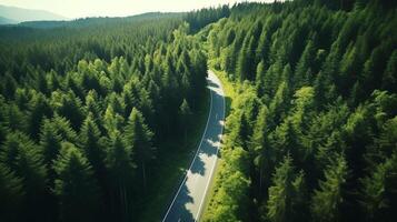 Top view photo of green forest with natural scenery amidst pine trees and country road