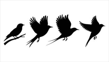 Flying Bird Silhouette Set Black Bird in Flight and Perched Poses for Nature and Wildlife Designs vector