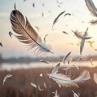 Flying Feathers in Motion Light, Airy Feathers Floating on Minimal Background photo
