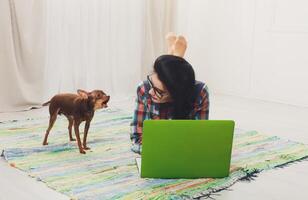 Young girl in computer glasses lying on carpet with laptop and dog chihuahua. Hipster student, freelancer woman at home. Relax with computer. Girl with barking small dog. Soft tone, high key. photo