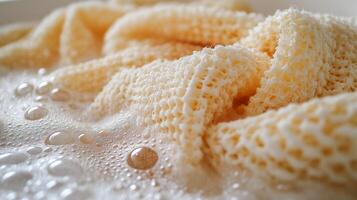 Honeycomb pieces soak in warm water, creating bubbles and revealing their textured surface. photo
