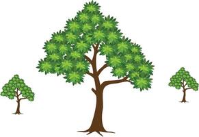 Tree Illustration - Green Tree with Leaf Nature Scene vector