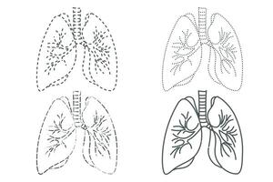 Lungs Dotted Line Arts Design vector