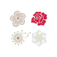 set of flower logo collections vector