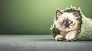 A playful kitten peeking out of a green fabric roll on a soft surface with a simple background photo