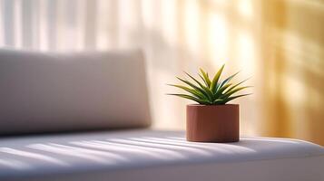 A serene indoor scene featuring a small potted plant on a white couch with soft lighting photo