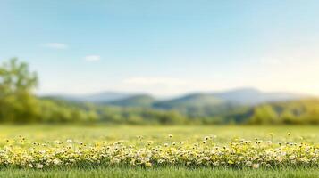 A serene landscape featuring a vibrant field of wildflowers under a clear blue sky at sunset photo