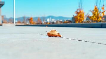 A solitary autumn leaf resting on a smooth concrete surface with a vibrant city backdrop photo